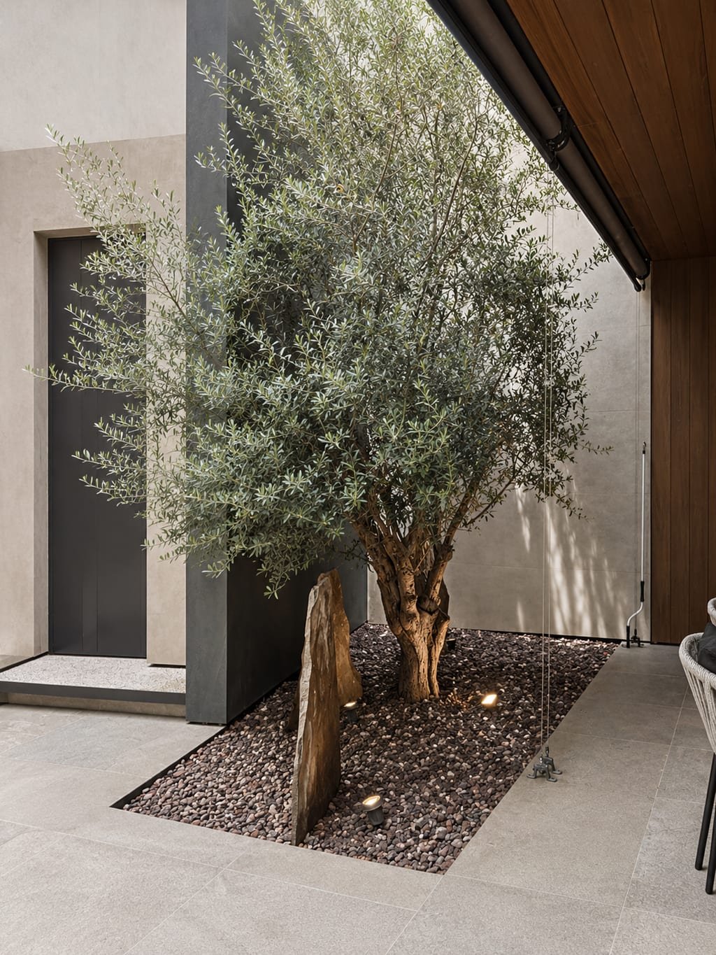 Patio interior con olivo sobre gravas
