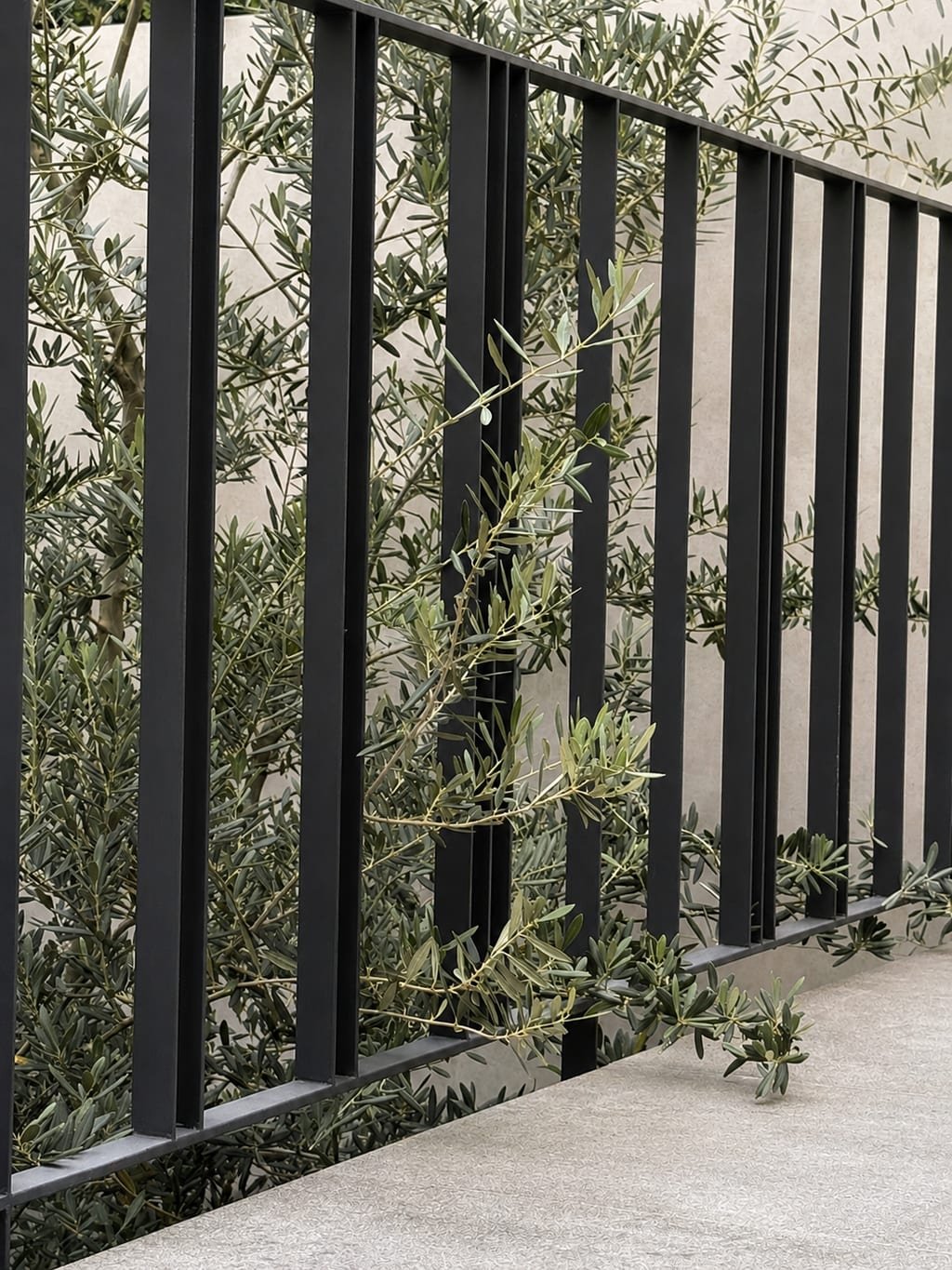 Detalle de la celosía de herrería con rama de olivo